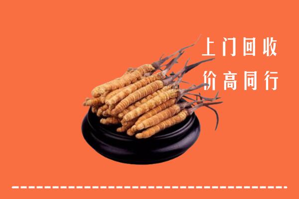 高价求购：保山市隆阳区回收散虫草