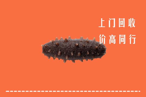 高价求购：保山市隆阳区回收海参