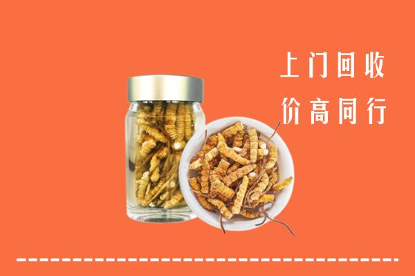 保山市隆阳区回收冬虫夏草